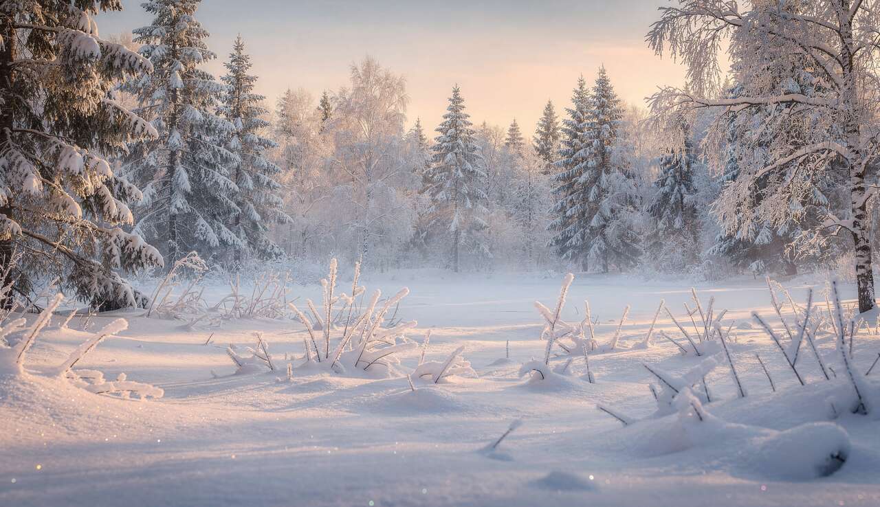 Comment Photographier la Neige ?