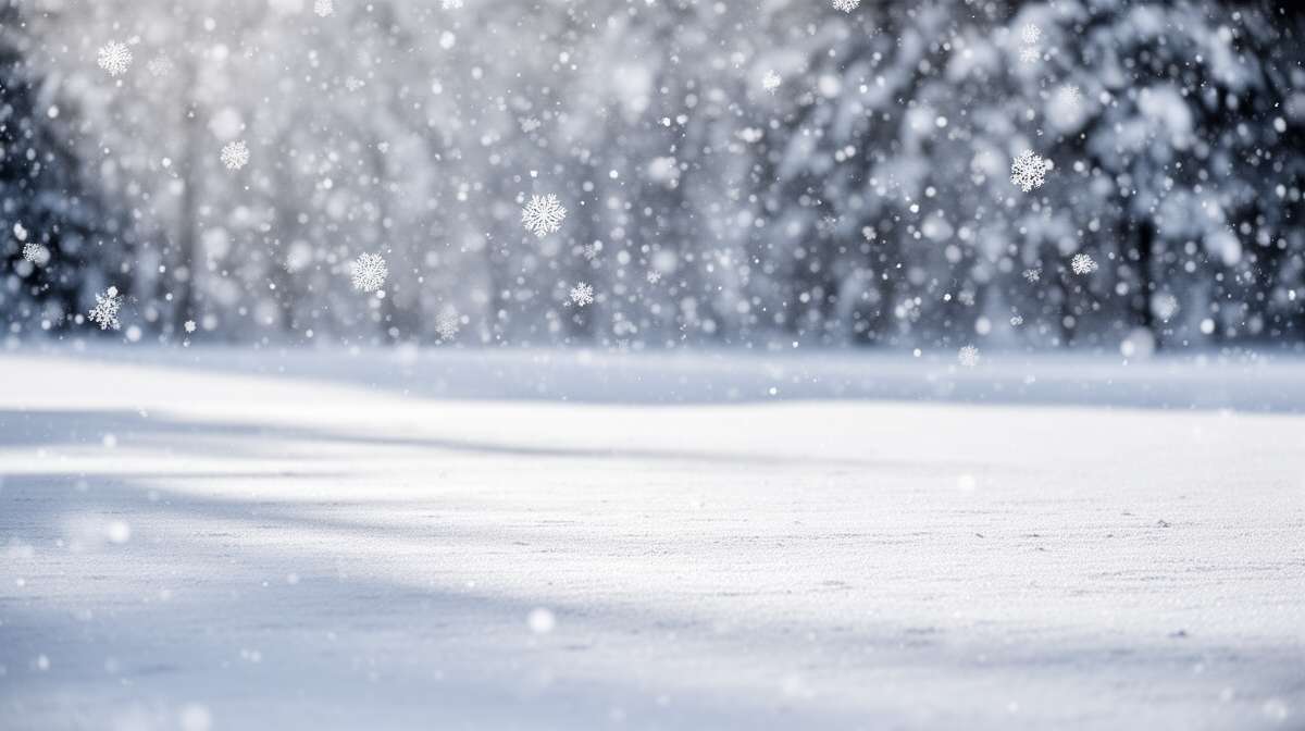 Techniques pour capturer les flocons en mouvement