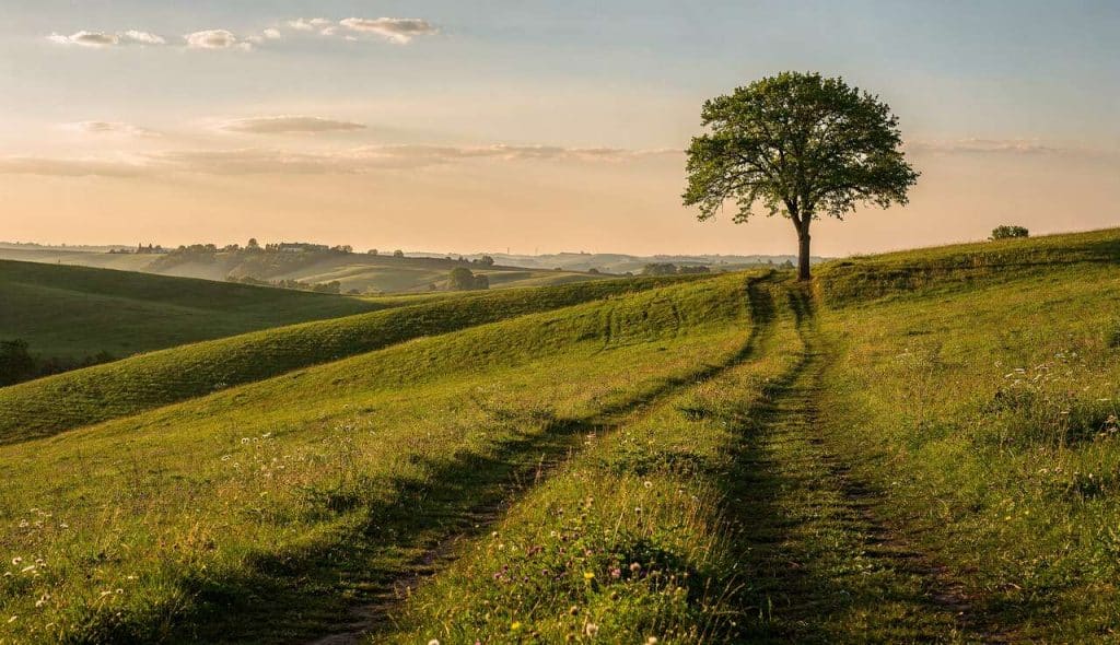 Règles simples pour une composition photo réussie