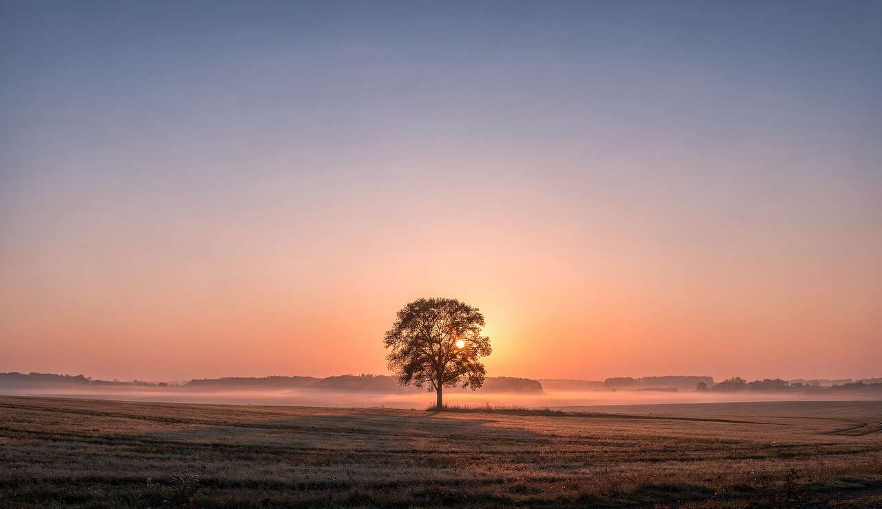 Exploiter l'espace négatif Exploiter l'espace négatif