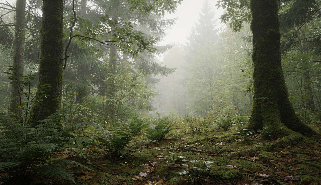 Pr&eacute;server l'ambiance originale de la sc&egrave;ne