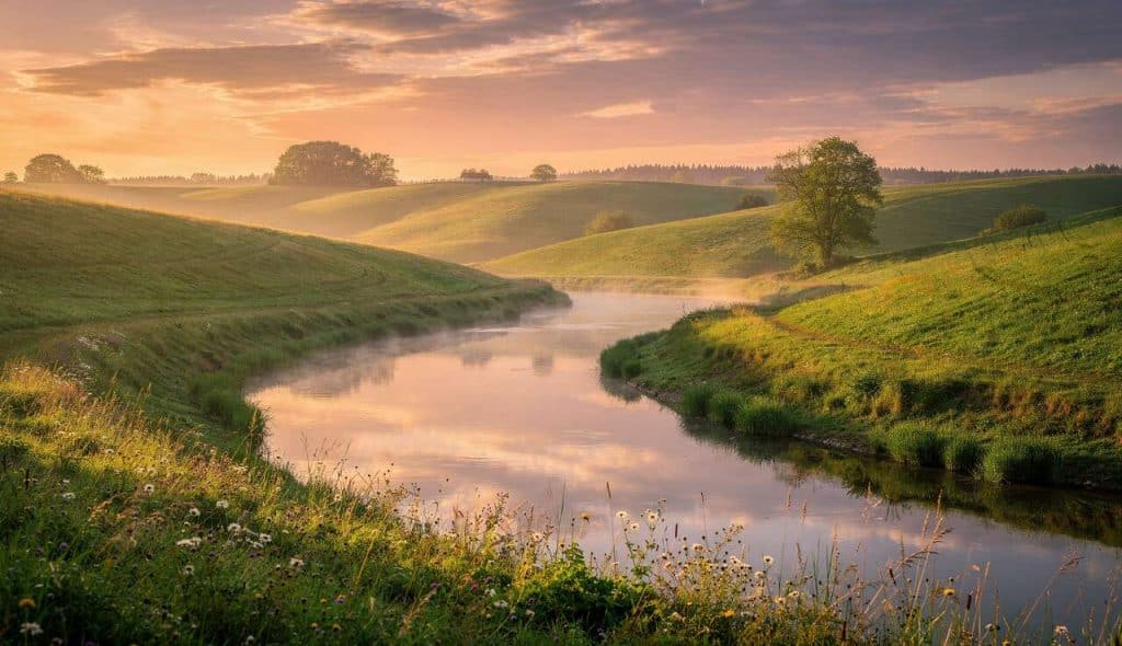 Conseils de base en photographie : guide pour débutants