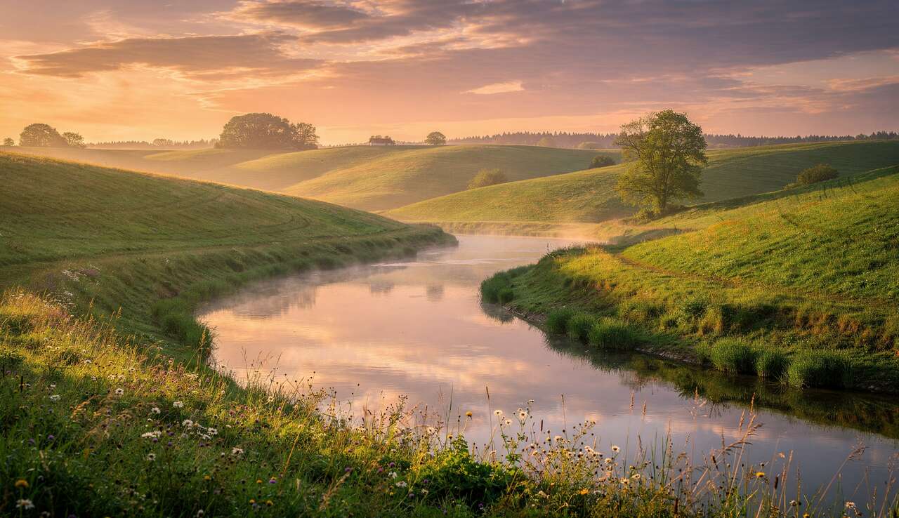 Conseils de base en photographie : guide pour débutants