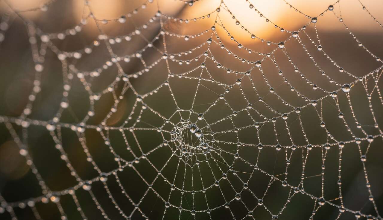 Techniques artistiques pour sublimer les petits d&eacute;tails