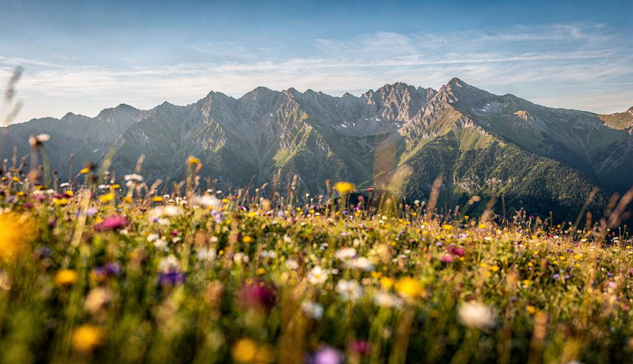 Comment Obtenir un Premier Plan Flou et Un Arrière-Plan Net en Photographie ?