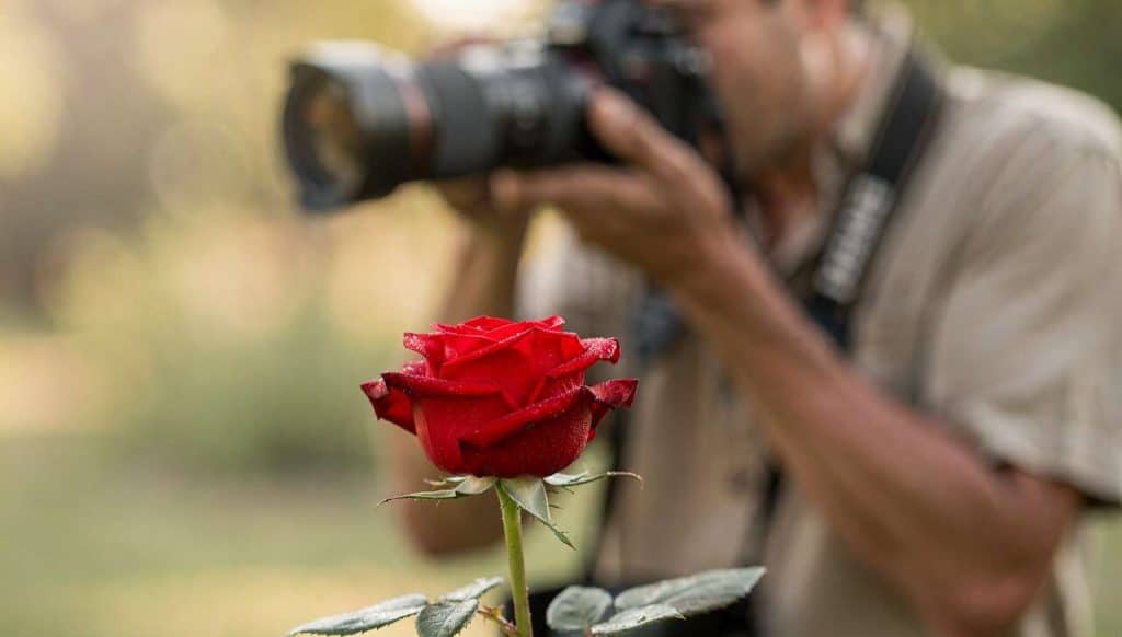 Comprendre la profondeur de champ et le flou d'arrière-plan en photo