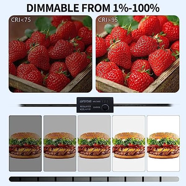 Découvrez notre avis détaillé sur la boîte à lumière OBEST 60cm, équipée de sources LED et de multiples fonds colorés, idéale pour vos projets photographiques.