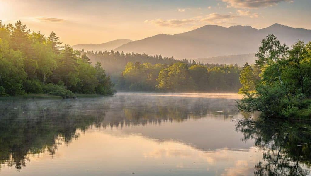 Inspiration en photographie : astuces pour créer