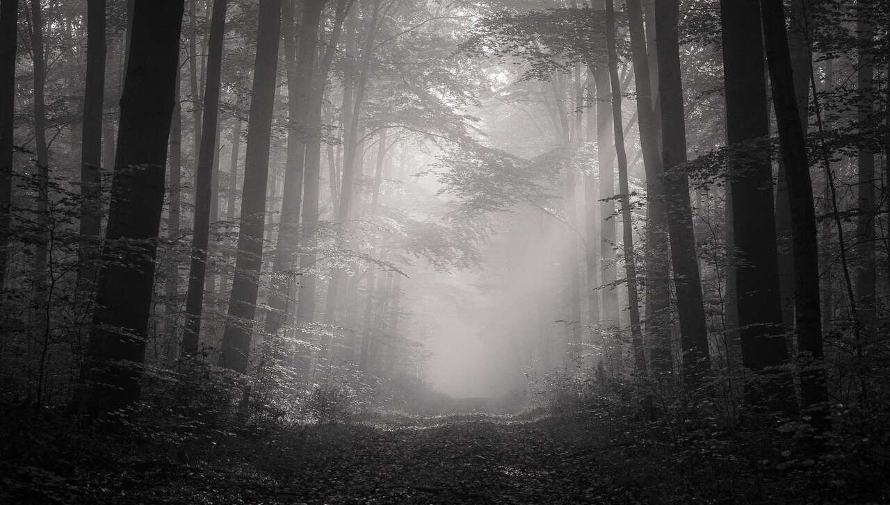 Conseils pour capturer l'ambiance par tous les temps