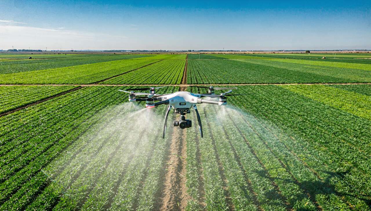 Optimisation de l'irrigation