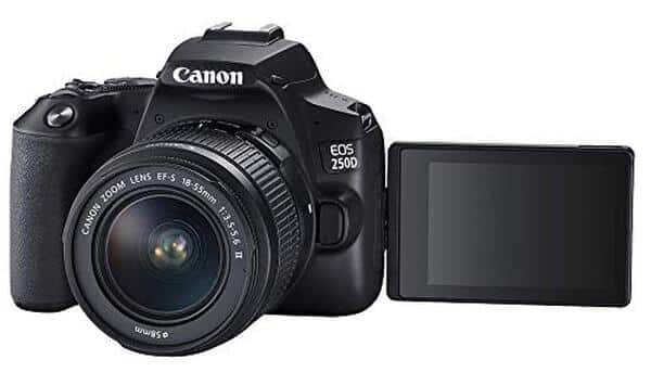 Découvrez notre test complet du canon EOS 250D : explorez sa polyvalence remarquable avec les objectifs 18-55mm et 75-300mm pour des photos de qualité exceptionnelle.