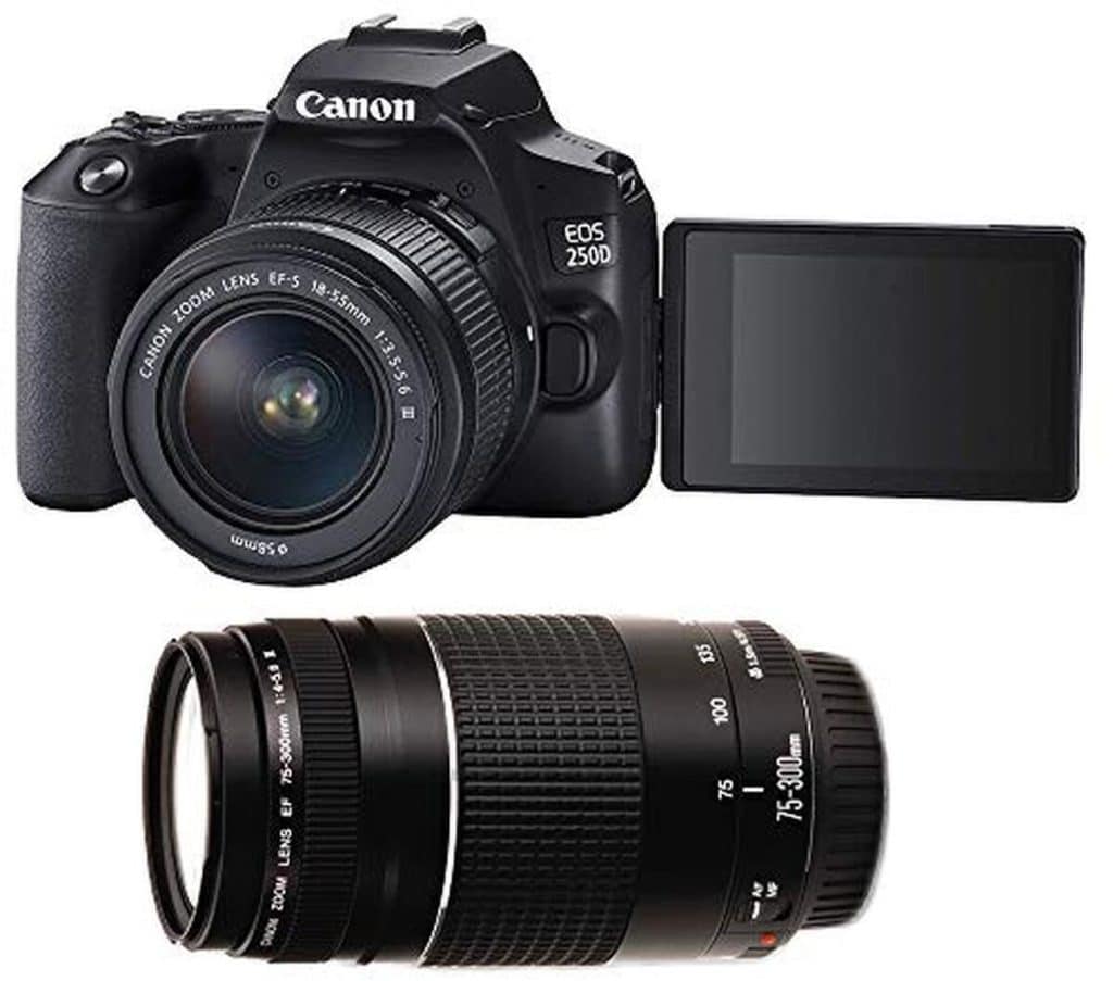 Test : canon EOS 250D, polyvalence avec les objectifs 18-55mm et 75-300mm