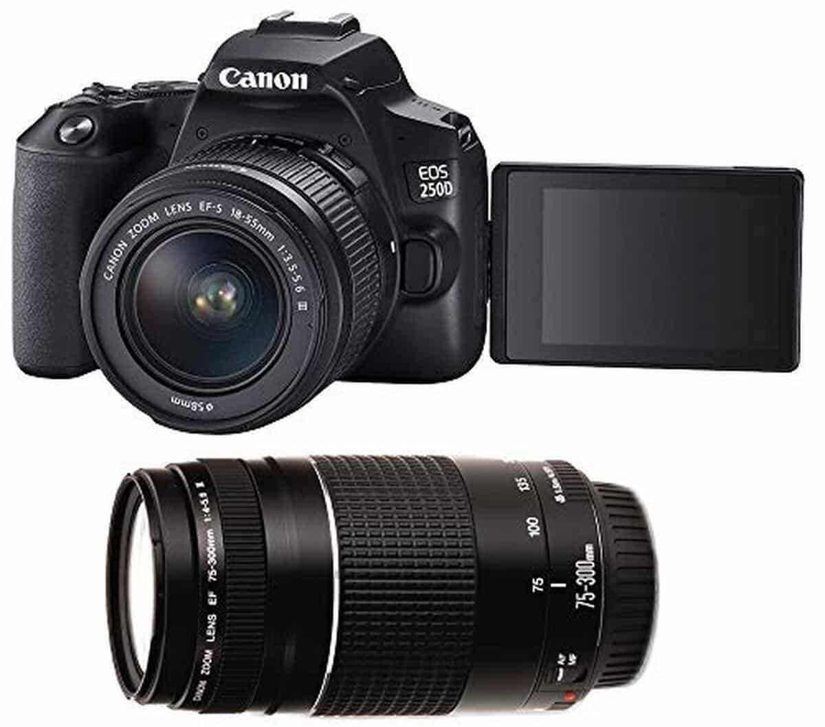 Test : canon EOS 250D, polyvalence avec les objectifs 18-55mm et 75-300mm